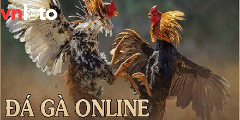 Vì sao bạn nên lựa chọn chọi gà trực tuyến VNLOTO?